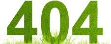 404